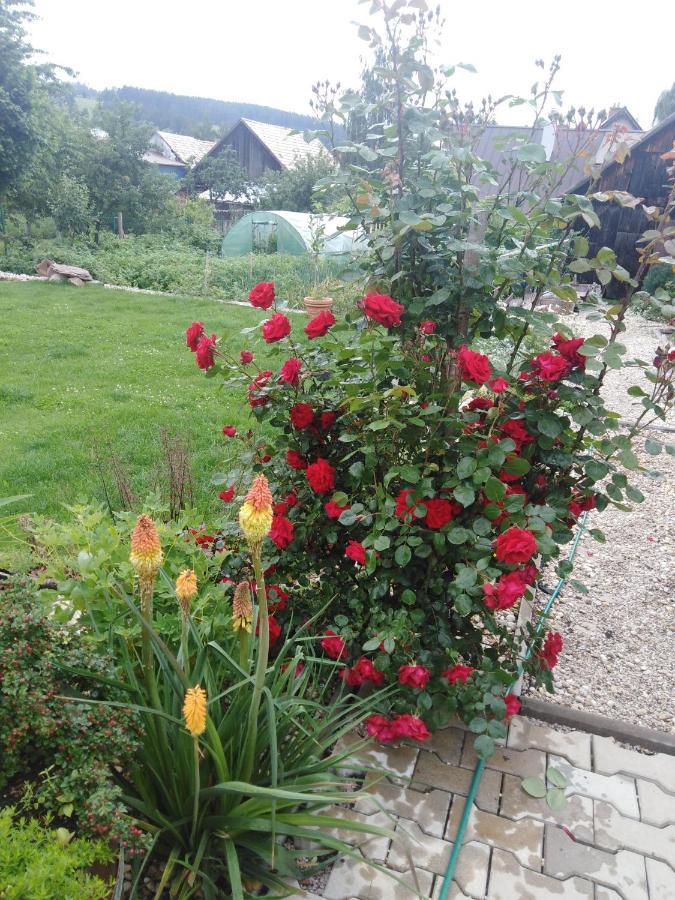 Privat Bajka Appartement Spišské Bystré Buitenkant foto